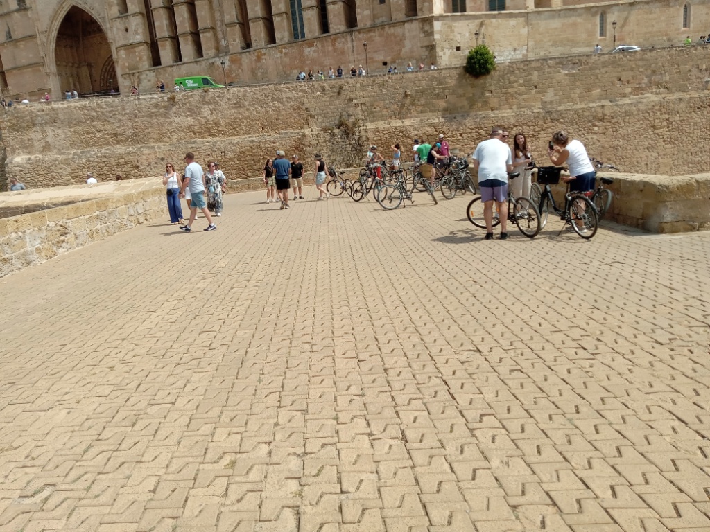 Catedral Basilica se Santa Maria de Mallorca